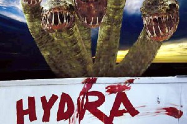 Hydra brute